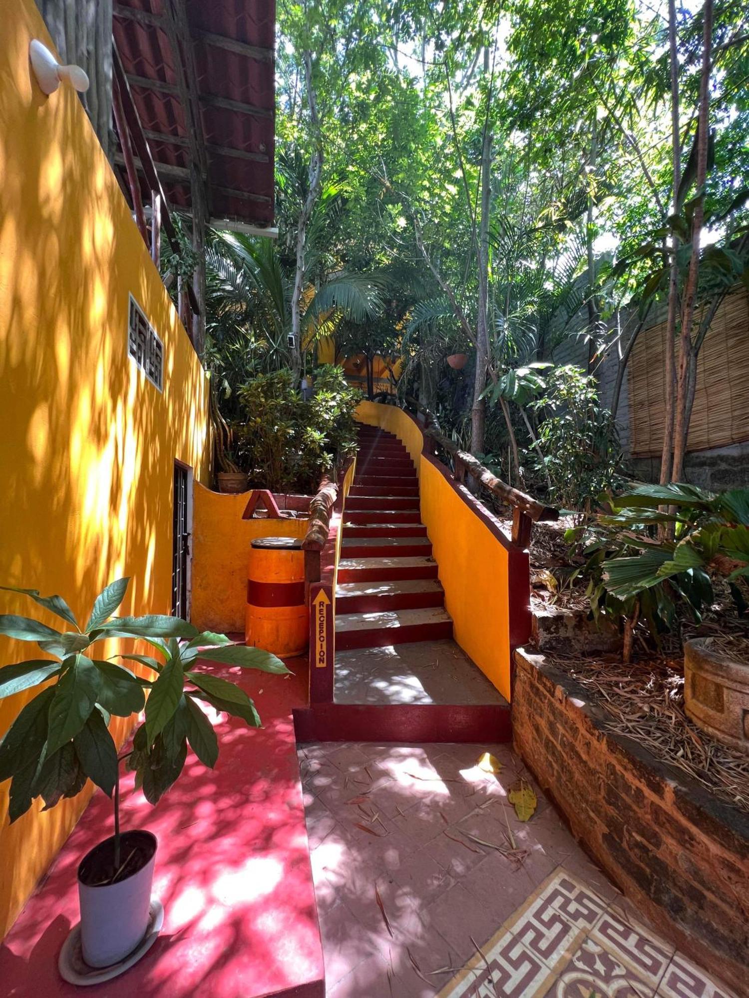 Buena Onda Backpackers Hotel ซานฮวนเดลซูร์ ภายนอก รูปภาพ